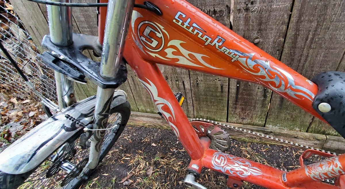 シュイーンチョッパー 1068002499191475_04_5389.jpeg