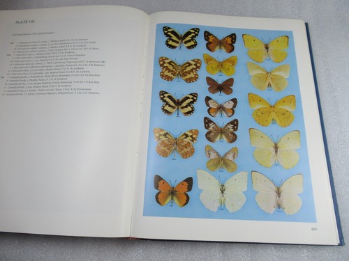 Pennington's Butterflies of Southern Africa - C G C Dickson *SIGNED* HB-DJ 1st - Imagen 16 de 16