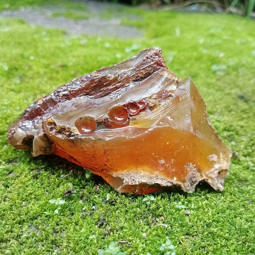 36GR Natural Amber Partly Polished, Yellowish Brown - Picture 7 of 12