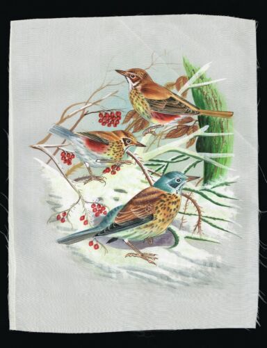 Handmade Painting Of Birds Ethnic Nature Art On Silk Cloth 10.5x13 Inches - Afbeelding 1 van 3