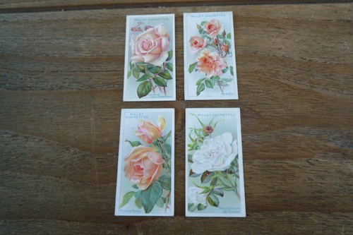 Wills - Roses Cigarette Cards from 1912 - VGC! Pick & Choose The Cards You Need! - Picture 4 of 8