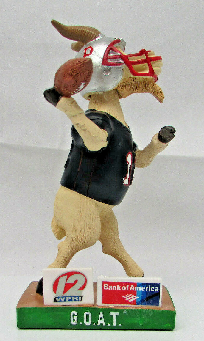 アート・デザイン・音楽 Wee Warriors and Playtime Patriots NEW ENGLAND Patriots RUNNING WILD 1960-1984 HC/DJ Silver