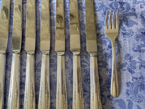 VTF Lot 8 pc Vision Silver Plate by Wallace Set 7 Dinner Knives, 1 salad fork - 第 4/8 張圖片