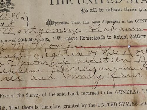 Documento Homestead dell’ufficio del presidente Theodore Roosevelt originale 1903 - Foto 3 di 13