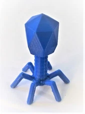 Virus Model Bacteriophage Phage Microbiology Science Education Microscope Gift 
