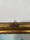 Foto 7 di 17