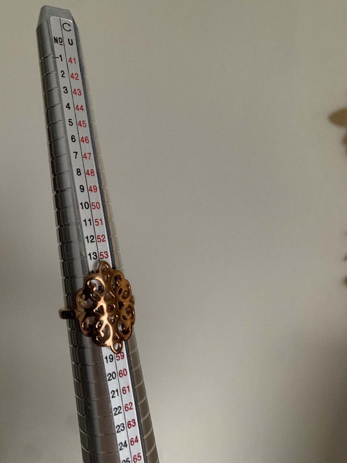 Picture 19 of 19