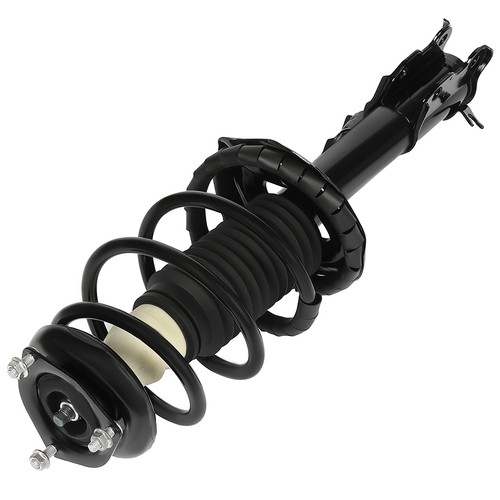 For 2000 2001 Nissan Sentra Complete Front Quick Installed Struts w/ Springs Kit - Picture 5 of 17