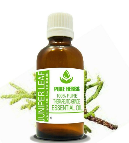 Aceite esencial de enebro de hierbas puras 100 % puro y natural de enebro Communis - Imagen 6 de 14