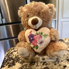Modern Expressions recordable Teddy Bear 🧸 NIB