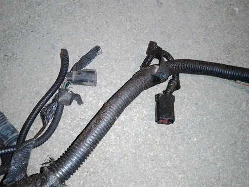 56044442AB Engine Wire Harness from 2004 Jeep TJ Wrangler 4.0L Sport 10202281 - Picture 9 of 12