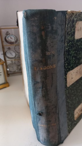 🔴 Libro ADONE di Giambattista Marino poema 1 edizione Firenze vintage 1922 - Foto 3 di 12