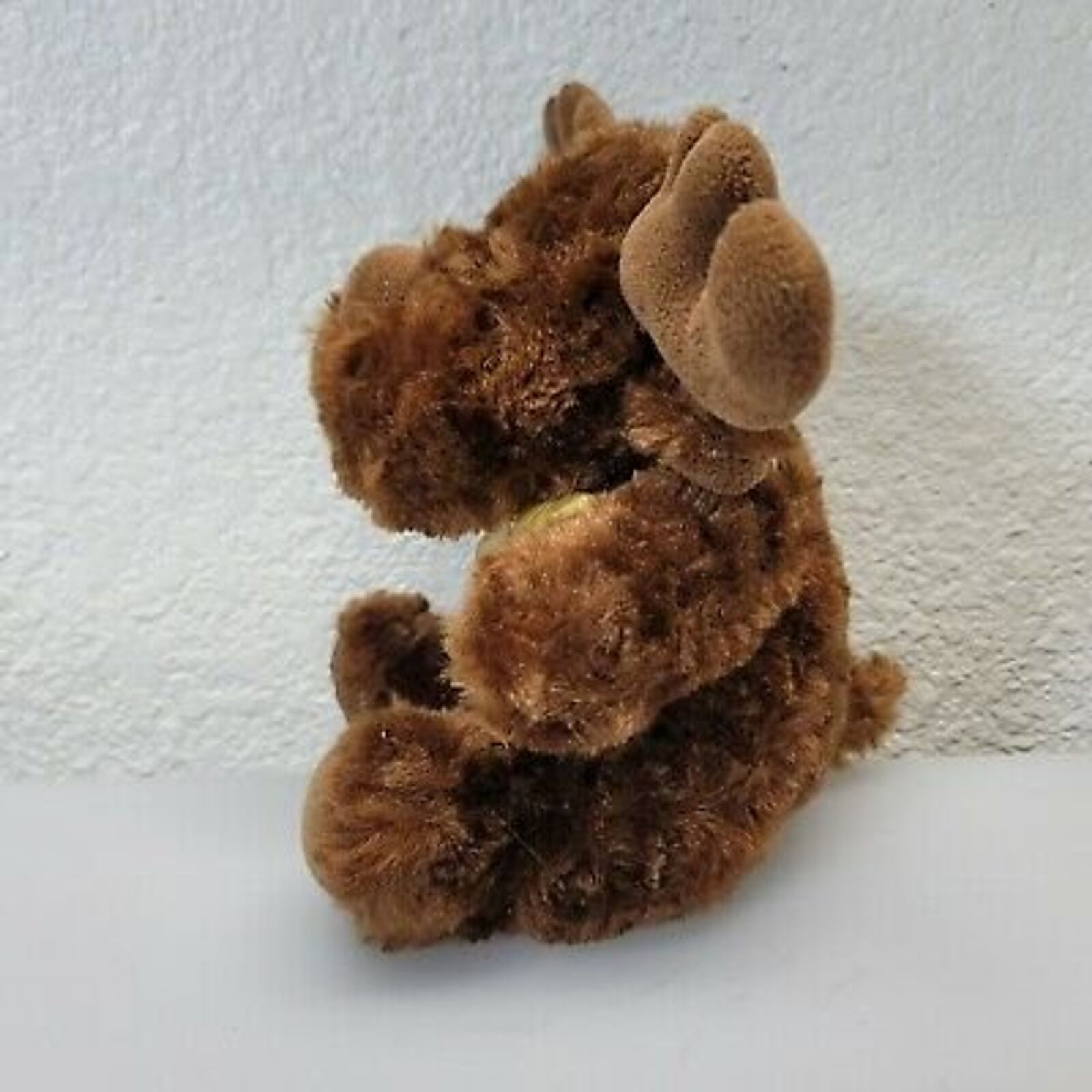 Bild 7 von 10