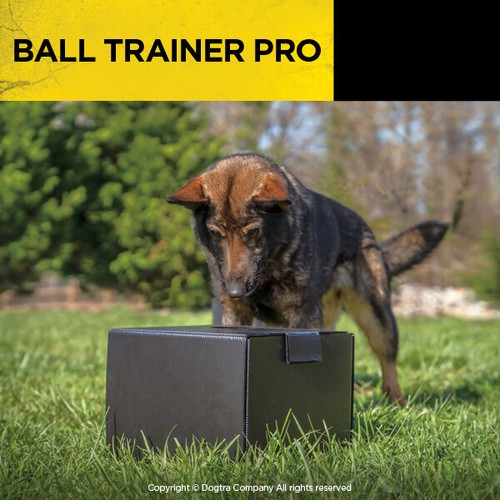 Dogtra BALL TRAINER PRO | Lanzador de bolas y cuentagotas con control remoto | 100 yardas - Imagen 5 de 5