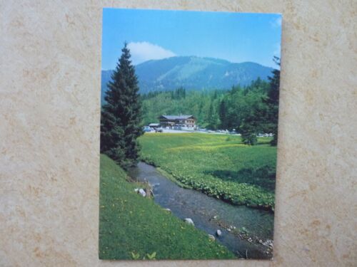 Ansichtskarte Postkarte AK Berg Gasthof Monialm Rottach Sutten - Bild 1 von 2