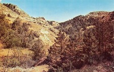Badlands ND North Dakota Roosevelt Canyon Horseback Riding Hike Vtg Postcard A4