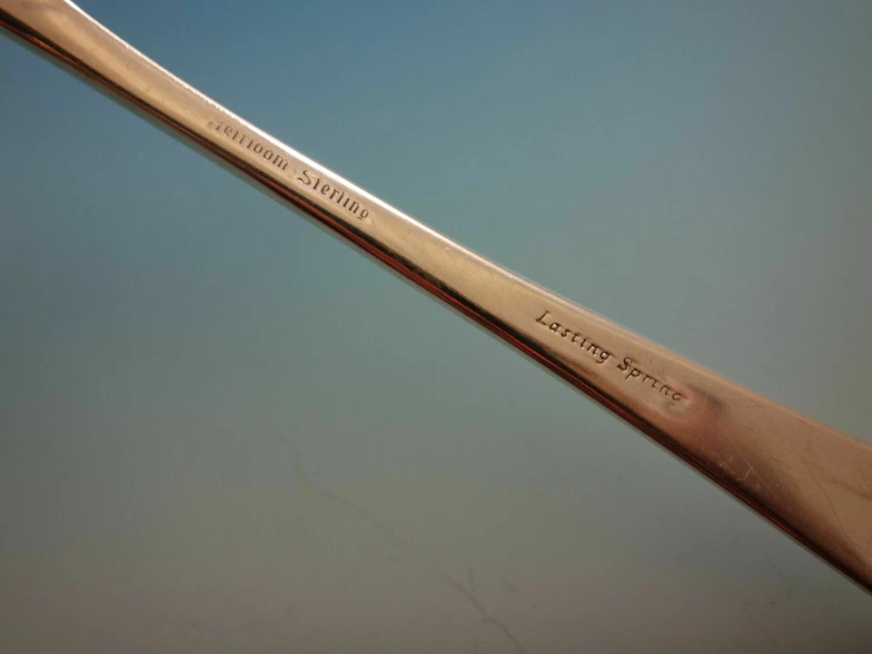 Ajuste(s) de lugar de tamaño regular de plata esterlina Lasting Spring de Oneida 4 piezas Foto 4 de 4