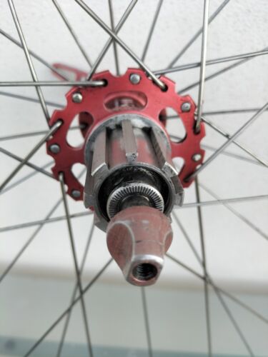 Ruote WR Compositi Mozzi Carbonio corpetto campagnolo 9 Velocità Superleggere - Picture 11 of 13