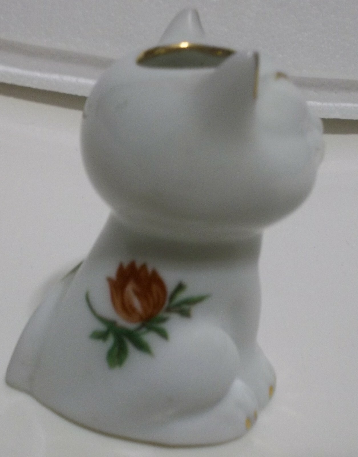 Picture 5 of 21