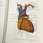 Picture 7 of 8