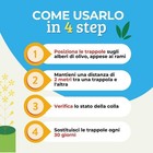 Foto 6 di 10