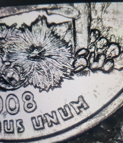 Arizona X-leaf 5-Quarter AZ P & D decent reeds Ungraded/circulated Error coins - Picture 5 of 24
