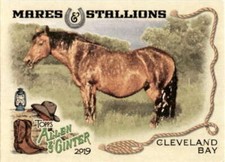 2019 Allen and Ginter Mares and Stallions #MS-12 CLEVELAND BAY HORSE  
