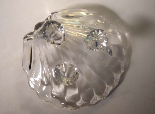 Cambridge Glass Caprice #300 Shell Individual Nut Dish Trinket - Picture 3 of 3