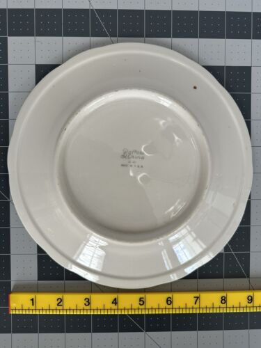 Vintage Buffalo China 9in Dessert Plate Dogwood Restaurant Ware - Picture 2 of 2