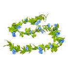 Bild 22 von 22