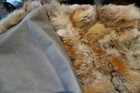 Bild 9 von 10
