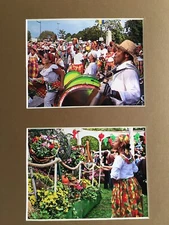 original art photo Madras Les iles 28x20