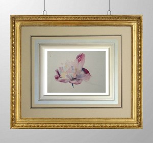 Francois-Forichon-1865-1952-original-drawing-botanical-study-flowers-28