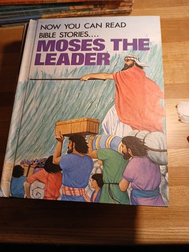 Now You Can Read Bible Stories Lot Of 19 Christian Homeschool - Picture 16 of 24