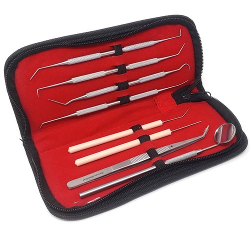 Dental Oral Hygiene Care Kit For Dentist Home Use Tools Plaque Remover Scaler CE - Picture 10 of 13