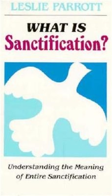 What Is Sanctification?: Understanding the Meaning of Entire Sanctification (Pap