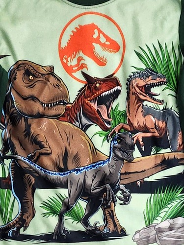 Jurassic World Boys Green Dino T-Rex Long Sleeve 2 Piece Pajama Set Size XS 4-5 - Picture 2 of 2
