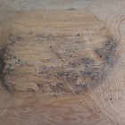 Bild 7 von 11