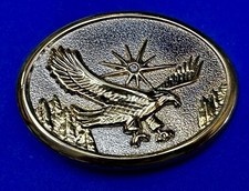 Eagle With Starburst USA Patriotic Belt Buckle Golden Western Bird Wings Cowboy