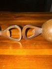 Picture 5 of 5