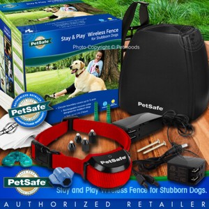 petsafe stay
