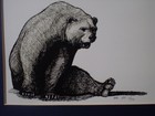 Picture 2 of 8