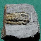 Picture 5 of 13