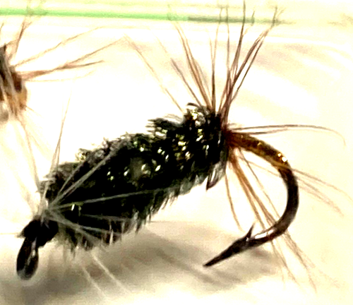 Shamrock Trout Flies Renegade Fly 2-COUNT Size 12 and 2-COUNT Size 14 - Picture 11 of 14