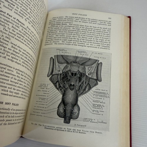 Anatomy Regional & Applied by R. J. Last 1966 Vintage HB Medical Illustrations - Picture 17 of 22