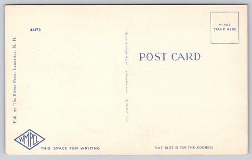 Vintage Postcard Mt Liberty And Covered Bridge The Flume New Hampshire - 第 8/12 張圖片