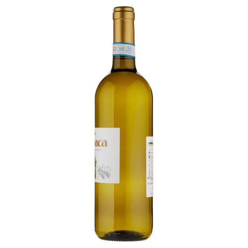 La Vinicola del Titerno 'A Pezza Solopaca DOP Bianco 750 ml - Foto 6 di 11