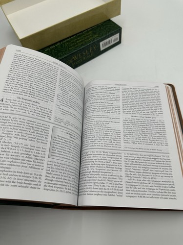 THE WESLEY STUDY BIBLE NRSV Abingdon Press Kunstleder grün & braun Softcover - Bild 12 von 15