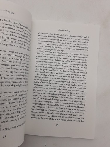 WICCECRAEFT: SHAMANIC MAGIC FROM THE DARK AGES By Sinead Spearing Ex Condition - Picture 7 of 8