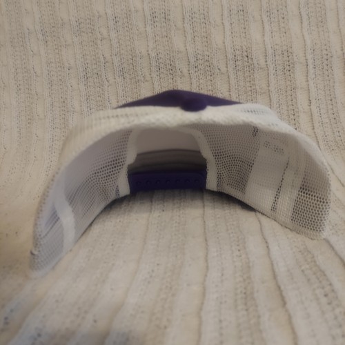 Tampa Bay Rays Nike MLB Rise Cap Hat Purple Structure Adjustable Size L/XL NEW - Picture 4 of 6